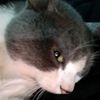 abby_0g