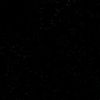 shaf6023