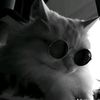 firas2475