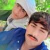 gul.935