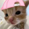stvsya_0o