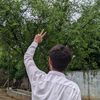 mzaid6252