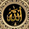 sanankhan7542