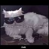 iix_vip