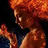 🐦‍🔥 Phoenix