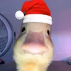 hulaanmouserko4