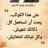 alaa_alaa3104