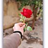 abo_amir_2002