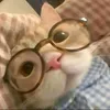 kim.anh40889