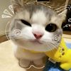 uknowy2