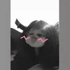 _nguyenphuonganh2
