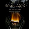 haroonkhan51672