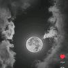shahdmostafa149