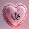 mazeemiqbal240