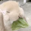 y0urlovem3lly
