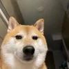 .nh.hi8