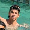 al_werflly9