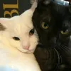htmeoz