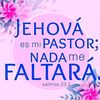 faviolamontero880