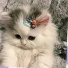 tnei.cutii