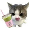 ddyaaqh