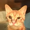 tsuri_nayu
