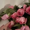 user4139783482463