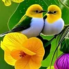 thi.thi5924