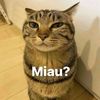 user269027579