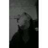 whyy_bella