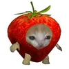 maa_uull