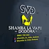 shamba la viatu dodoma