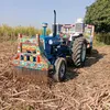bajwa7984