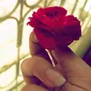 aiifa074