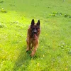 lutz.franke4