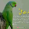 waqaskhan05632