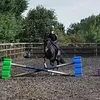 lillie.horserides