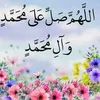 shary.xam8