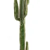 mafggan