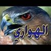user7587221424673