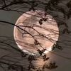hamed_salih0
