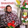 shahzad.shahzad8673