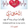 user523760628