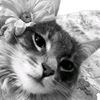 its_phiilaa