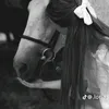 zz__qo