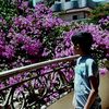 yoseefkaseem4