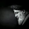 zahraaali4817