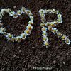 rahaf.hasen6