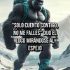 ferras430