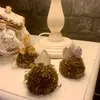 crystalcandy1111